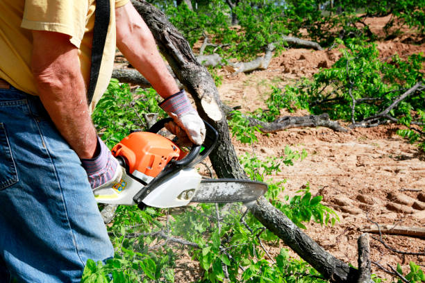 Lawn Grading and Leveling in Kitty Hawk, NC